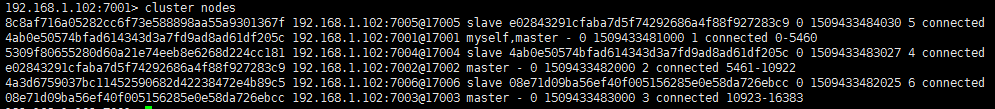 cluster nodes