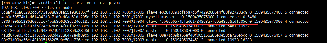 cluster nodes