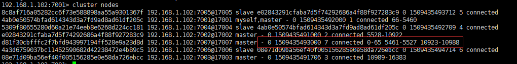 cluster nodes