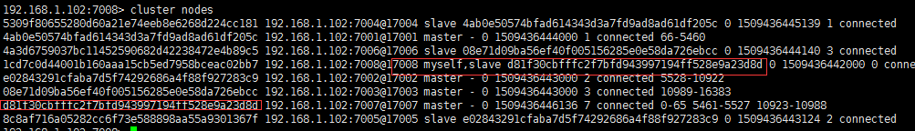 cluster nodes