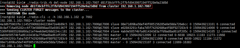 cluster nodes